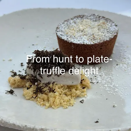 Zenja Apartments - Free Private Parking - Skocjan Caves - Cozy Garden