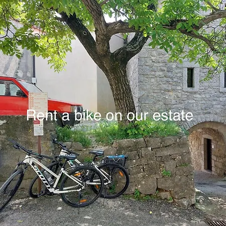 Zenja - Nature - Garden - Parking Yard Divaca