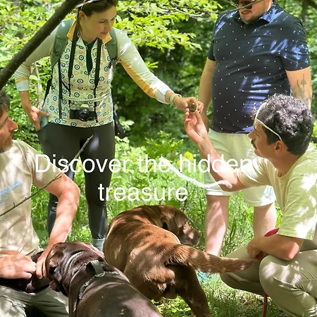 Zenja Apartments - Free Private Parking - Skocjan Caves - Cozy Garden