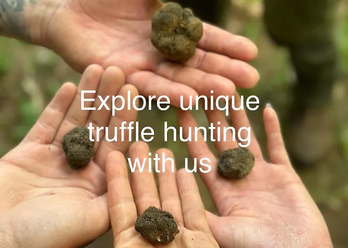 Zenja Apartments - Free Private Parking - Skocjan Caves - Cozy Garden *