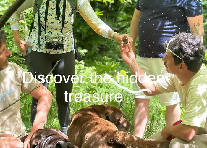 Zenja - Free Private Parking - Skocjan Caves - Cozy Garden